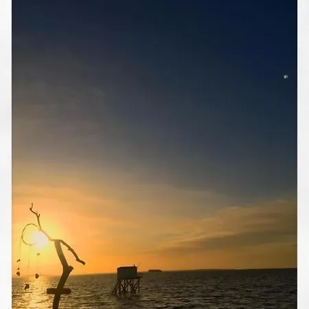 Napoleon 3* 일드엑스